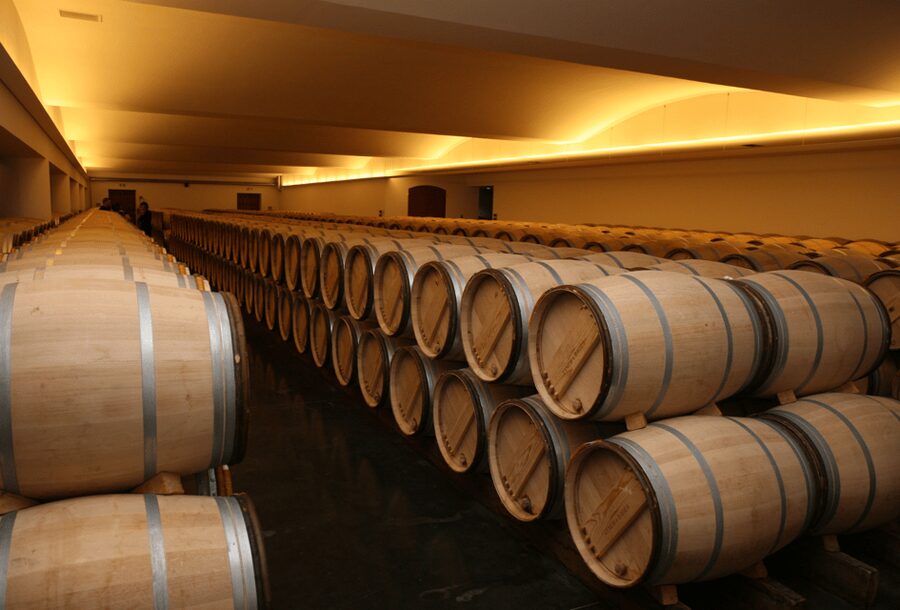 From Lisbon: Évora + Chapel of Bones + Monsaraz + Alentejo Wines - Alentejo Wine Tasting in the Countryside: What You Can Expect