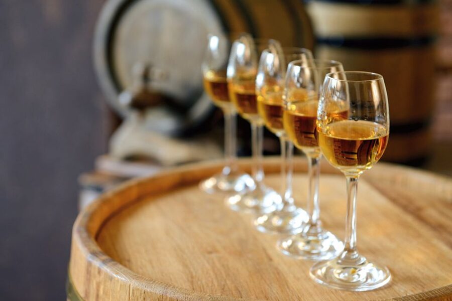 From Lisbon: Évora Wine & Heritage Tour - Why Évora feels like a Portugal highlight, not a detour