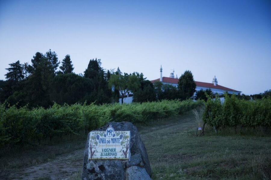From Lisbon: Évora Wine & Heritage Tour - Wine cellar time in Alentejo: tasting with context, not just samples