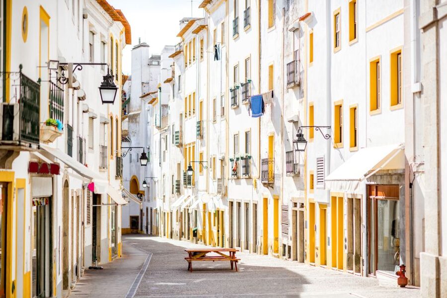 From Lisbon: Évora Wine & Heritage Tour - Price and value at about $100 per person