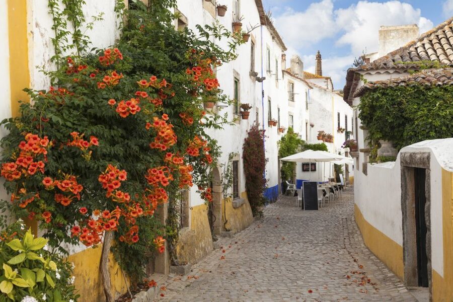From Lisbon: Fátima Sanctuary, Nazaré & Óbidos - Small-group van comfort: the real value is in the pacing