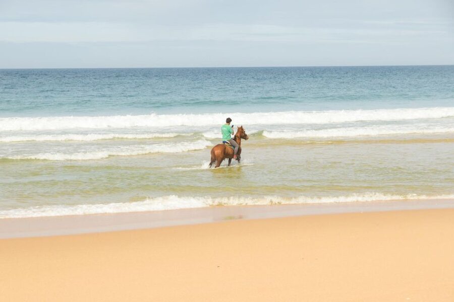 From Lisbon: Horseback Riding on Comporta Beach - Key things that make this Comporta ride worth it