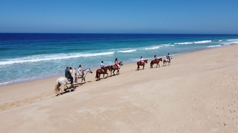 From Lisbon: Horseback Riding on Comporta Beach - Price and value: is $165 per person fair?