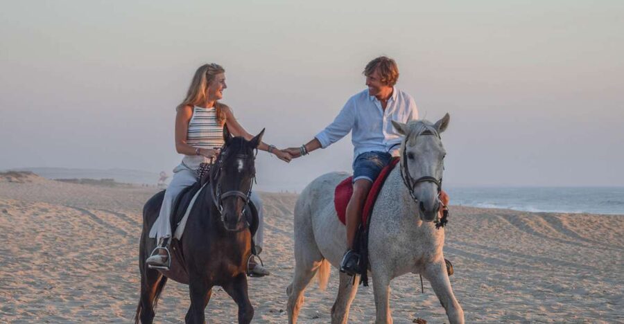 From Lisbon: Horseback Riding on Comporta Beach - Why a Comporta Beach horseback ride feels different from a quick tour