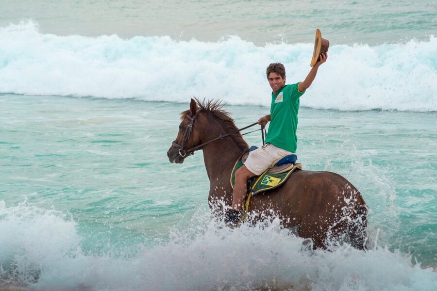 From Lisbon: Horseback Riding on Comporta Beach - Choosing your horse: Lusitano first, then variety