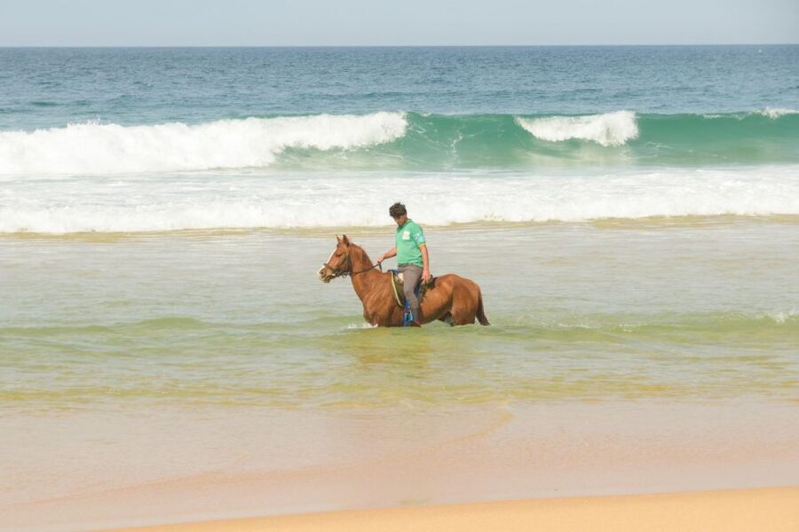 From Lisbon: Horseback Riding on Comporta Beach - How the Lisbon to Comporta timing really works (HF Fénix Lisboa pickup)