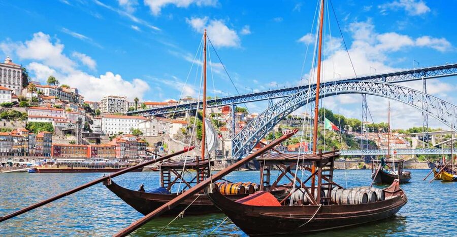 From Lisbon: Porto Private Full-Day Tour - Key things that make this tour worth your time