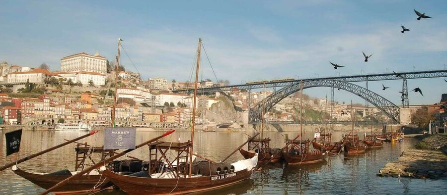 From Lisbon: Porto Private Full-Day Tour - Who This Private Porto Day From Lisbon Fits Best