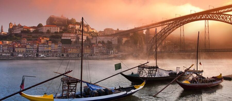 From Lisbon: Porto Private Full-Day Tour - Baixa and the Porto Rhythm You Can Actually Feel