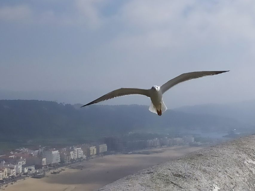 From Lisbon: Private Óbidos and Nazaré Tour - Value check: $335 per group for Óbidos and Nazaré, not just transport