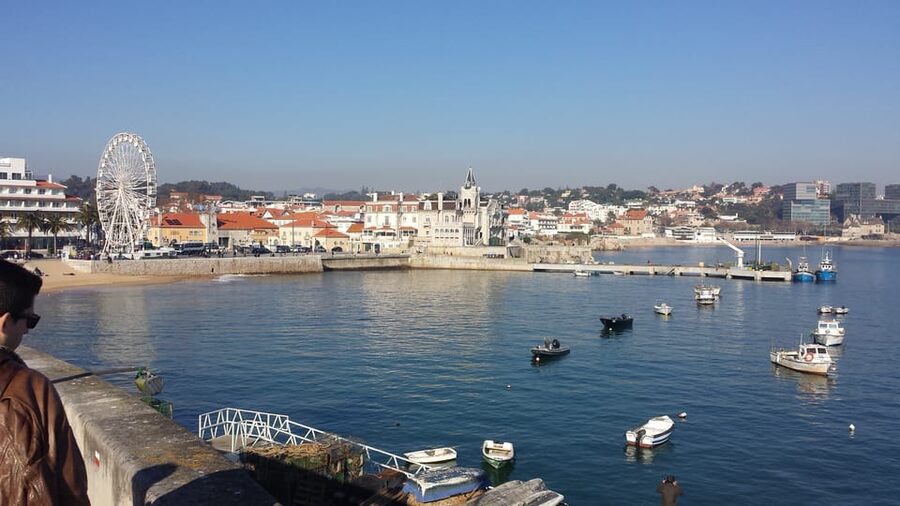 From Lisbon: Private Sintra Sightseeing Tour - Moorish Castle in the Mountains: Where the Scenery Takes Over