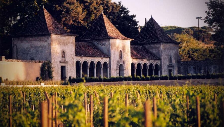 From Lisbon: Serra da Arrábida, Sesimbra, and Setúbal Wines - Key things you’ll enjoy on this Setúbal and Arrábida day