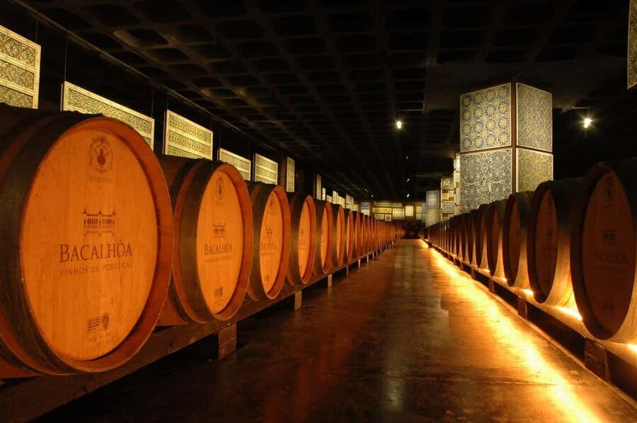 From Lisbon: Serra da Arrábida, Sesimbra, and Setúbal Wines - Lisbon to Setúbal, and why this route works