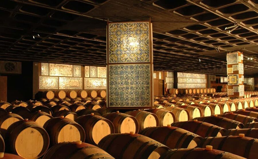 From Lisbon: Serra da Arrábida, Sesimbra, and Setúbal Wines - Bacalhôa Palace: art, gardens, and why it feels different from a typical winery