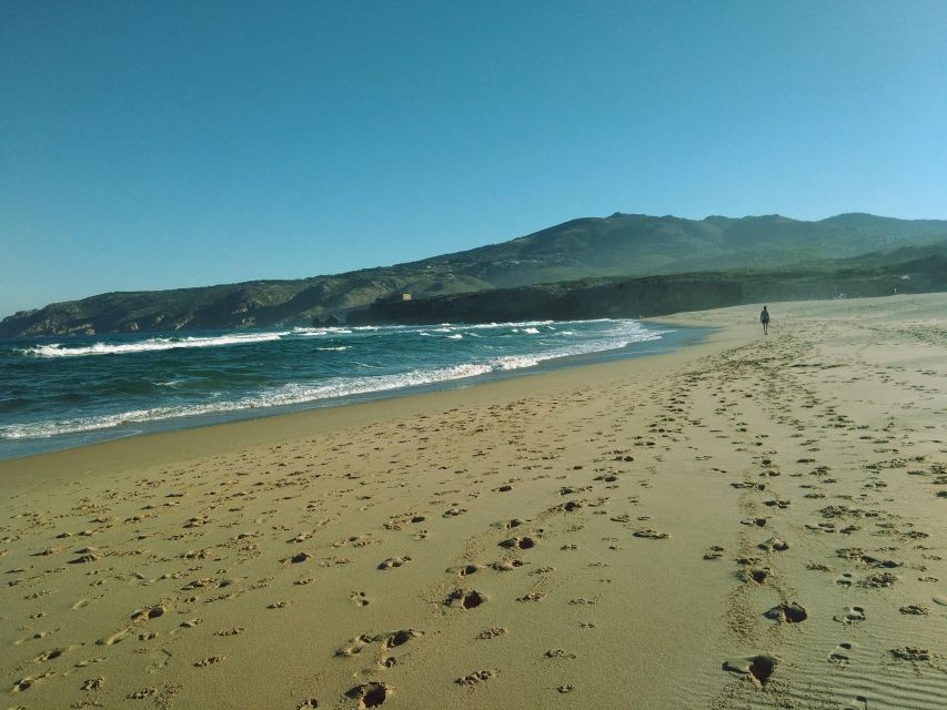 From Lisbon: Sintra and Cascais Natural Park Private Tour - Pena Palace: the guided heart of the whole day