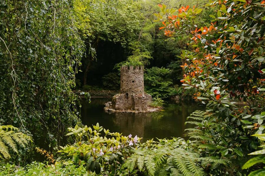 From Lisbon: Sintra, Pena Palace and Quinta da Regaleira - From Lisbon To Sintra, Fast and Comfortable by Van