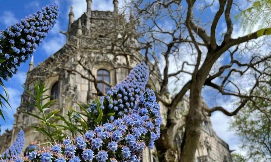 From Lisbon: Sintra, Pena Palace and Regaleira Day Trip - Should you book this Sintra day trip?