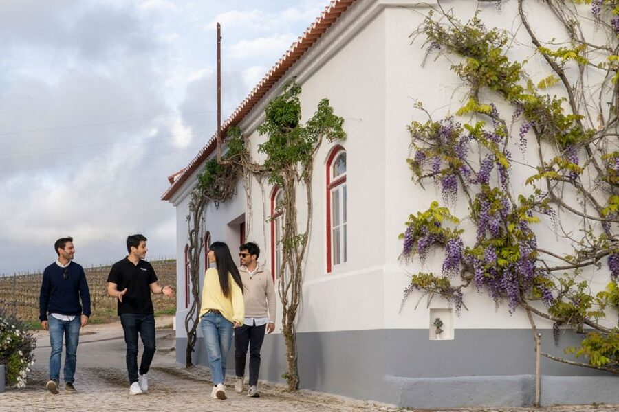 From Lisbon: Sintra & Pena Palace Day Trip with Wine Tasting - Key Things I’d Highlight