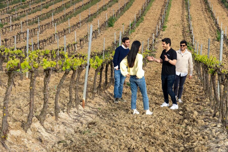 From Lisbon: Sintra & Pena Palace Day Trip with Wine Tasting - Why Pena Palace and Mafra Wine Works So Well Together