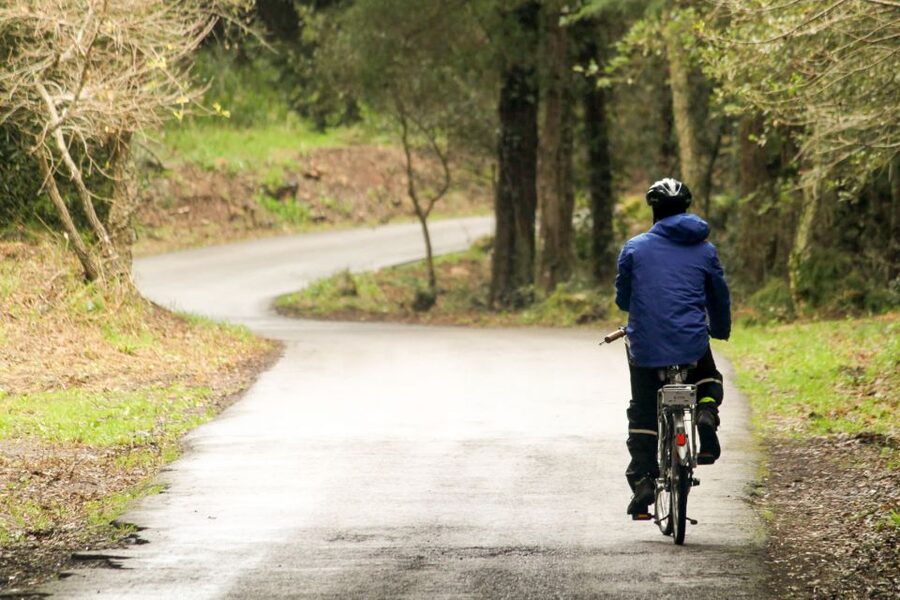 From Lisbon: Sintra to Cascais Full-Day Guided E-Bike Tour - Colares Vineyards, Penedo Views, and the Small-Village Stops
