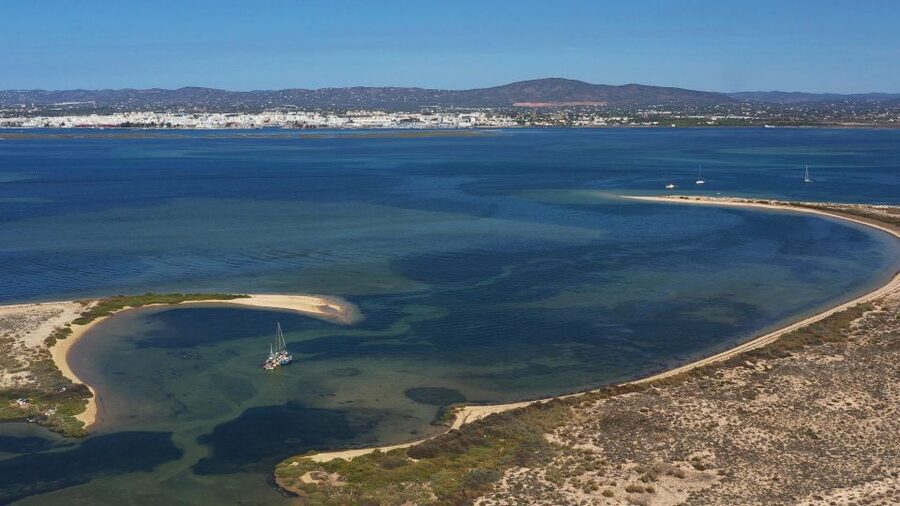 From Olhão: Ria Formosa 3-Island Full-Day Tour - Culatra Island: fishing-island time for lunch, cakes, and beach options