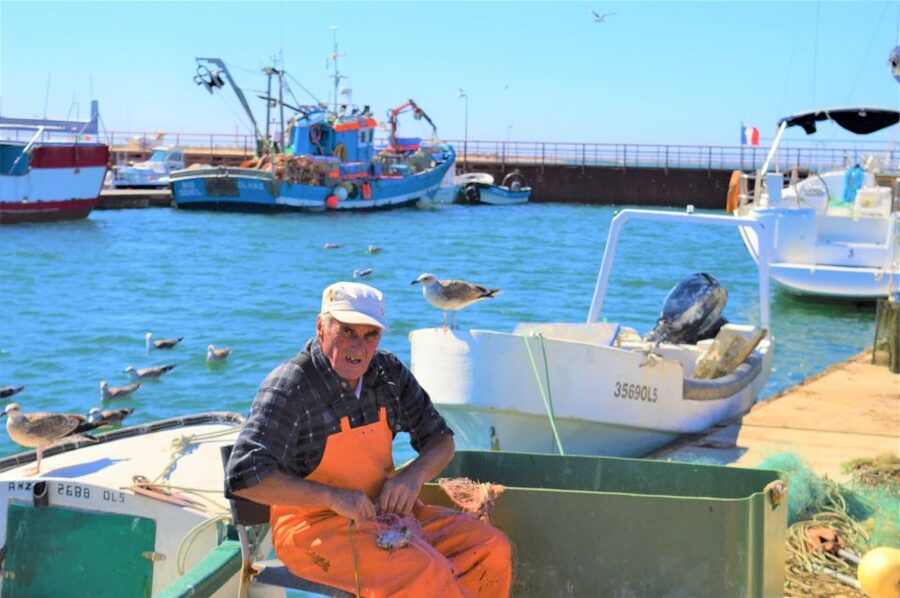 From Olhão: Ria Formosa 3-Island Full-Day Tour - Between islands: sandbanks at low tide, photo moments, and dolphin odds