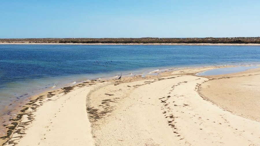 From Olhão: Ria Formosa 3-Island Full-Day Tour - How the 5-hour plan actually feels in real life