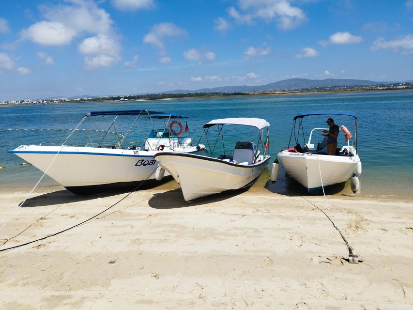 From Olhão: Ria Formosa 3-Island Full-Day Tour - Price and value: is $47 per person a fair deal?