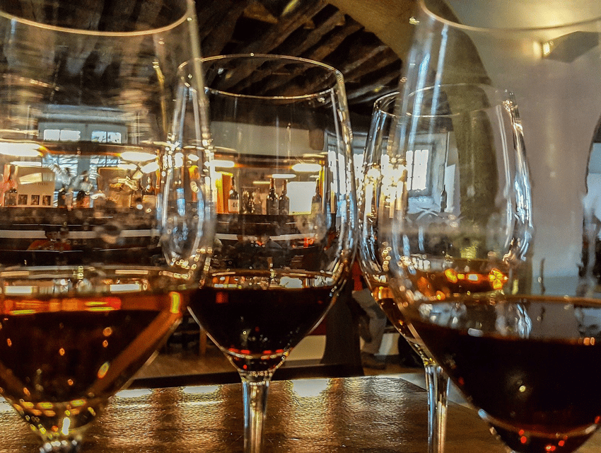 From Pinhão: Douro Valley Tour w/ Wine Tasting and Boat Trip - That 15-minute viewpoint stop: short, but it sets the whole valley