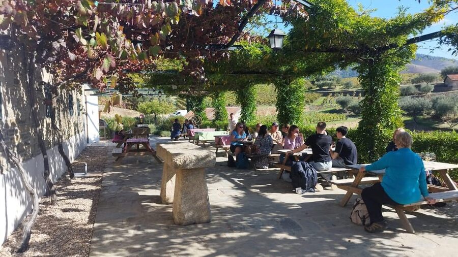 From Pinhão: Douro Valley Tour w/ Wine Tasting and Boat Trip - Price and value: what $64 buys in a 3-hour Douro hit