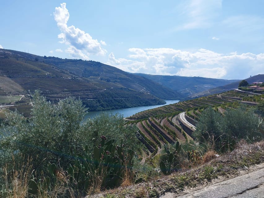 From Pinhão: Douro Valley Tour w/ Wine Tasting and Boat Trip - Weather and comfort tips for the river and the minivan