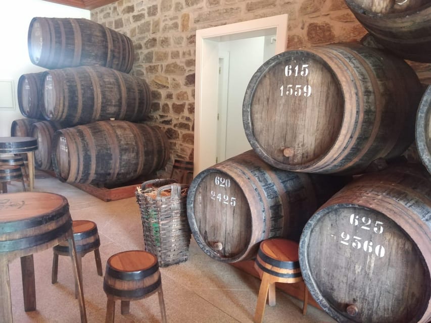 From Pinhão: Douro Valley Tour w/ Wine Tasting and Boat Trip - Should you book this Pinhão Douro.Tours boat and wine tasting?