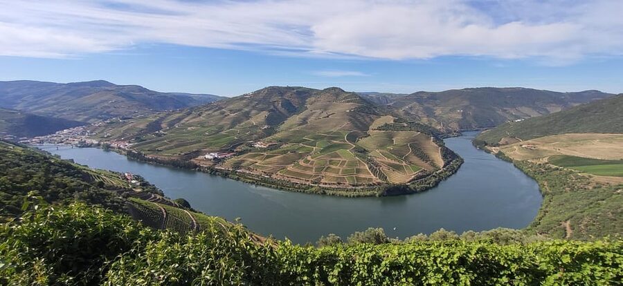 From Pinhão: Douro Valley Tour w/ Wine Tasting and Boat Trip - 50-minute Douro River cruise: the views you will actually remember