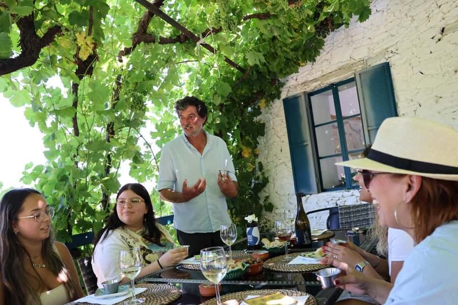 From Porto: 2 Boutique Wineries w/ Winery Lunch & 1-h cruise - Porto to Provesende: Starting With a Real Douro Welcome