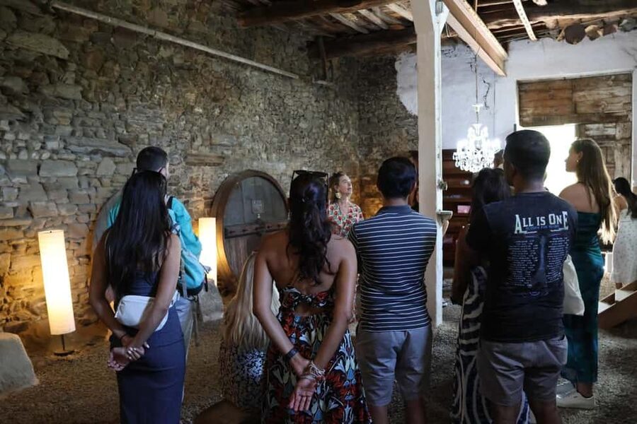 From Porto: 2 Boutique Wineries w/ Winery Lunch & 1-h cruise - N222 and the Second Estate: Where the Terraced Hills Set the Mood