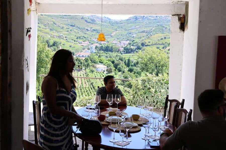 From Porto: 2 Boutique Wineries w/ Winery Lunch & 1-h cruise - Cambres Wine Tasting: Final Sips, Final Views, and Time to Ask Questions