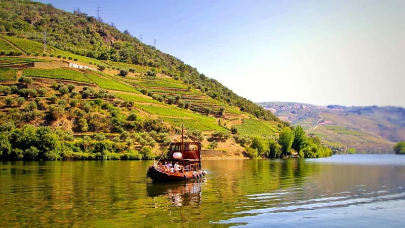 From Porto: 2 Wine Regions, Farm Lunch, and Boat Ride - Key moments worth circling in your calendar