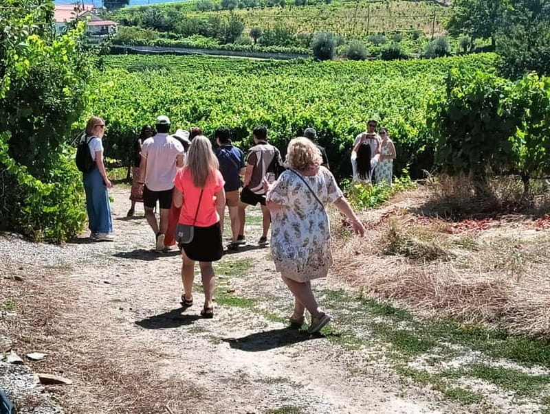 From Porto: 2 Wine Regions, Farm Lunch, and Boat Ride - Breakfast and first viewpoints: setting the Douro mood early