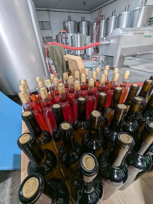 From Porto: 2 Wine Regions, Farm-to-Table Lunch & Boat - Price and Value: What $94 Actually Buys You