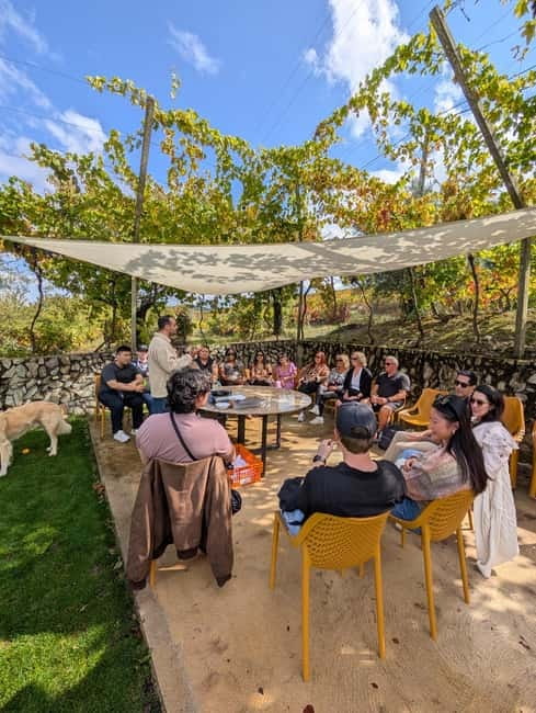 From Porto: 2 Wine Regions, Farm-to-Table Lunch & Boat - Vinho Verde Tastings: White, Red, and Espadal