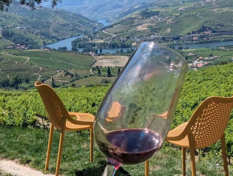 From Porto: 2 Wine Regions, Farm-to-Table Lunch & Boat - Olive Oil Tastings and the Lunch Table Pairing