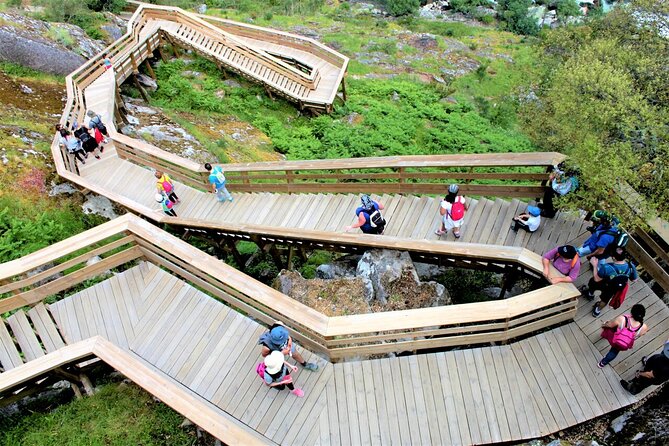 From Porto: 516 Arouca Bridge and Paiva Walkways Guided Tour - Guides and drivers: what makes the day feel smooth