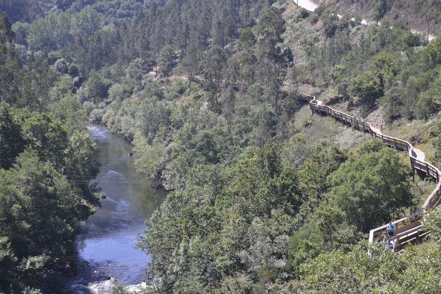 From Porto: 516 Arouca Bridge, Paiva Walkways and Aveiro - Key Highlights Worth Getting Excited About