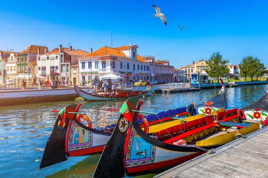 From Porto: Aveiro Half Day Tour - Porto to Aveiro Starts at Igreja da Lapa
