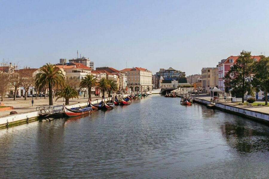 From Porto: Aveiro Half Day Tour - Who This Tour Suits (and Who Should Think Twice)
