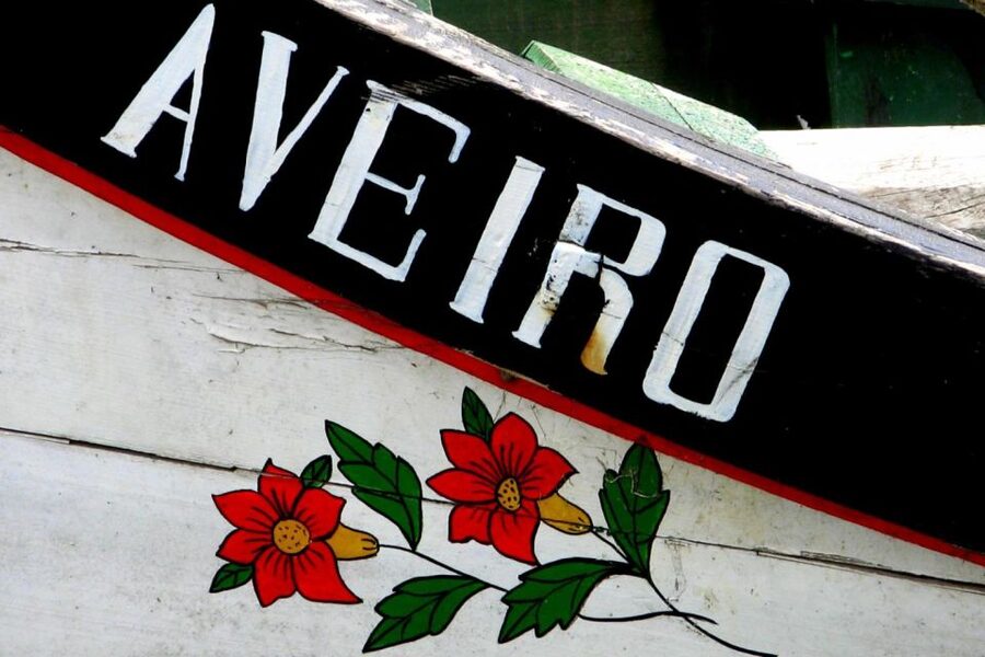 From Porto: Aveiro Half-Day Tour with 1-Hour Cruise - From Porto to Aveiro, coach ride and timing that matters