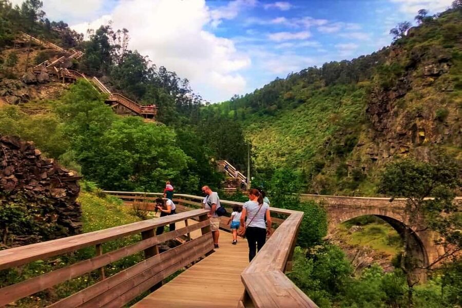 From Porto: Aveiro, Paiva Walkways, & Suspension Bridge Tour - Arouca lunch: a real countryside meal with options that actually cover everyone