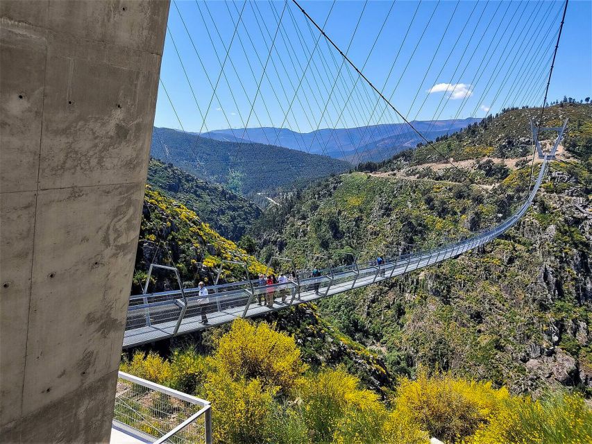 From Porto: Aveiro, Paiva Walkways, & Suspension Bridge Tour - Price and value: what you get for about $127
