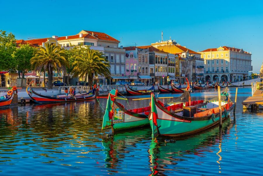 From Porto: Aveiro Private Guided Day Trip - Who This Trip Fits Best