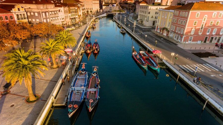 From Porto: Aveiro Private Guided Day Trip - Shopping and Walking Time That Actually Works